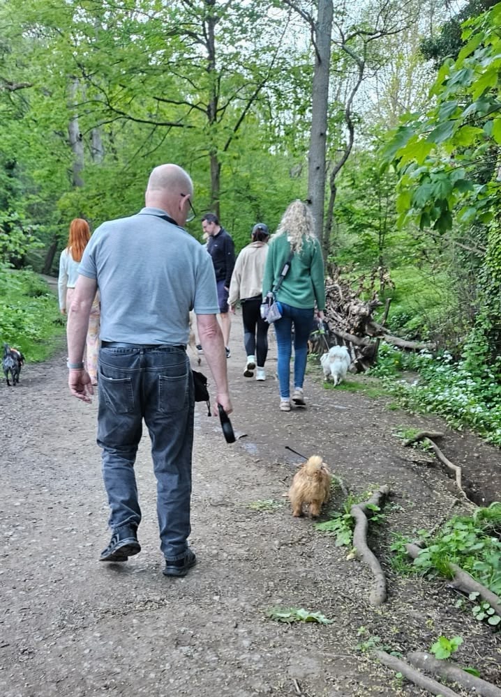 Keith walking a dog along a woodland path